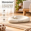 Monavixa™ Modern Stone Pet Bowl — Sculptural Elevated Feeding Dish